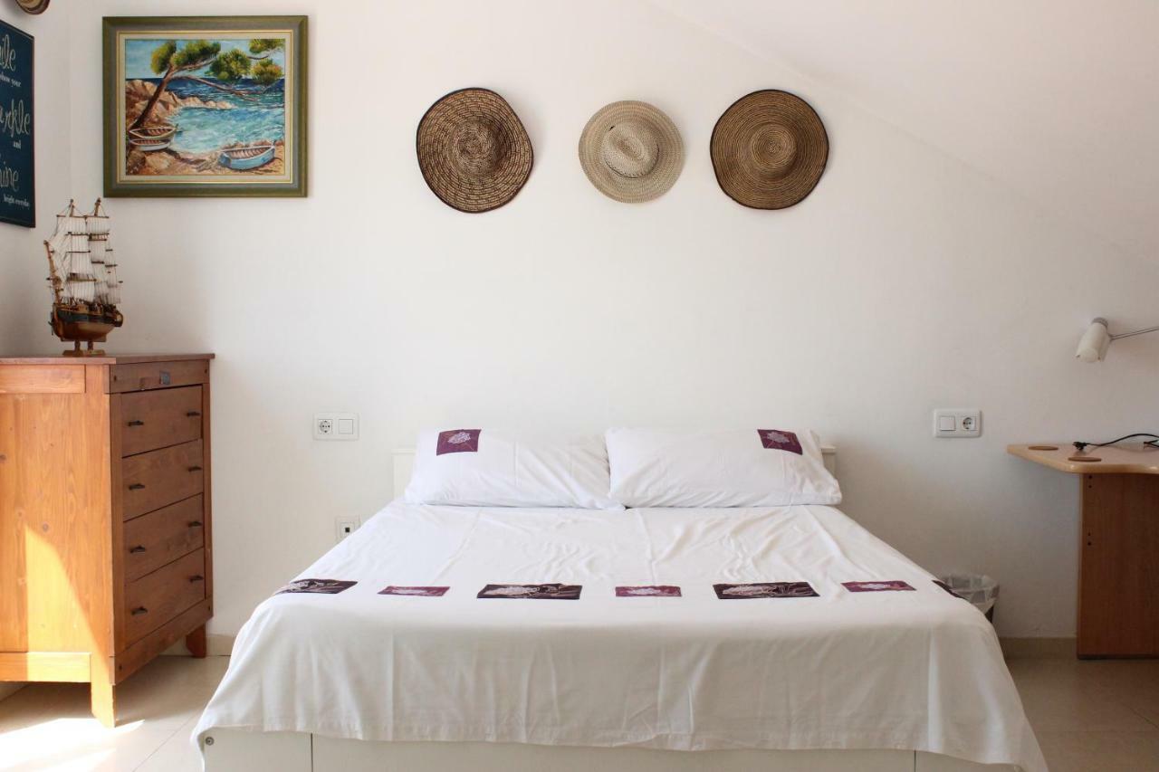 Séjour chez l'habitant Newly Renovated Discover The Truth About Our Beautiful Oceanfront In Recent Renovations And New Management Ensure An Unforgettable Book Now And Experience It For Yourself